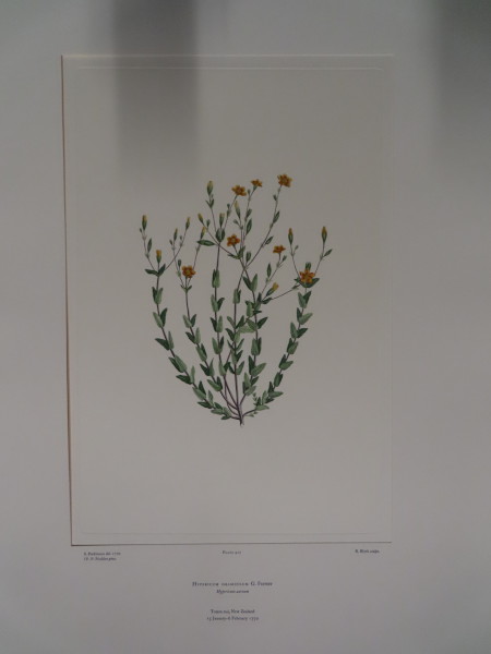 image FDA-E.2916_20_19-2016