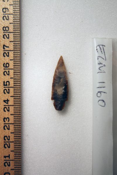 ECM.1160-2010-B image ECM.1160-2010-B