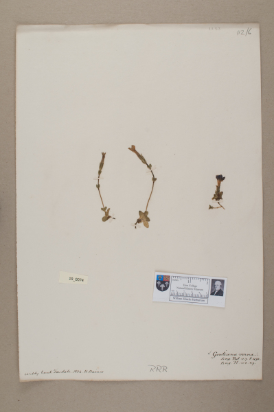 NHM_HH_19.74-2010 image NHM_HH_19.74-2010