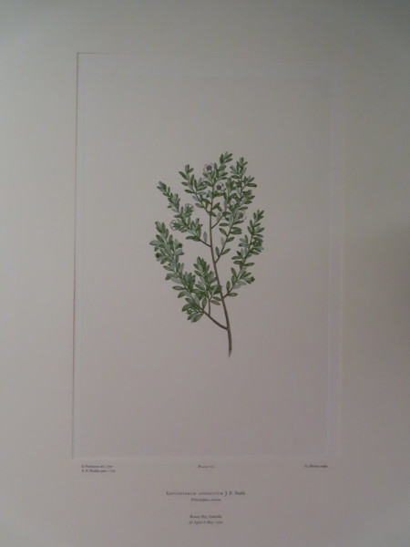 FDA-E.2916_5_25-2016-A image FDA-E.2916_5_25-2016-A