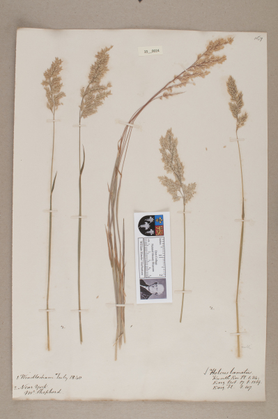 NHM_HH_35.24-2010 image NHM_HH_35.24-2010