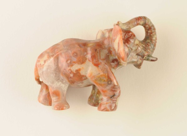 NHM-EE.110-2015 image NHM-EE.110-2015