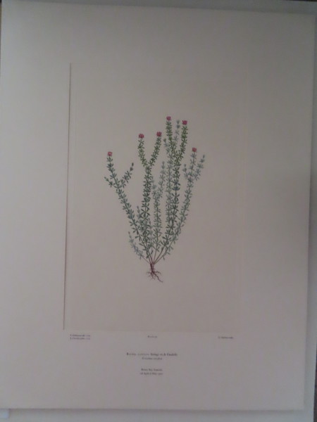 image FDA-E.2916_5_12-2016-A