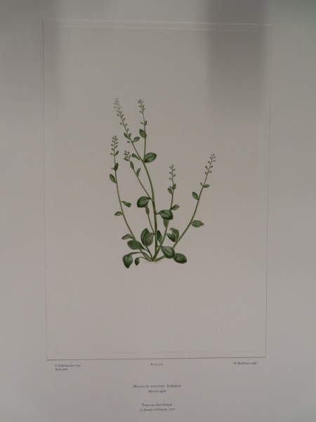 FDA-E.2916_24_22-2016-A image FDA-E.2916_24_22-2016-A