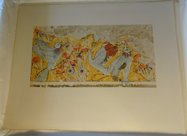 FDA-E.3055_30-2018 image FDA-E.3055_30-2018