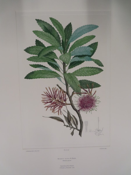 image FDA-E.2916_26_5-2016-A