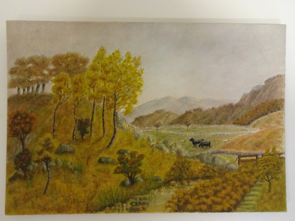 FDA-D.1234-2015 image FDA-D.1234-2015