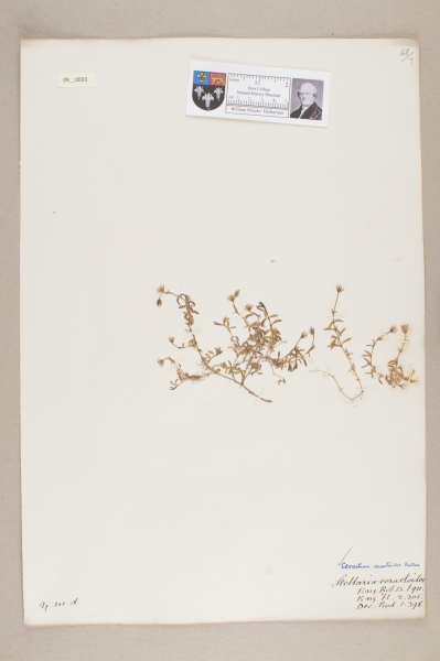 NHM_HH_9.33-2010 image NHM_HH_9.33-2010