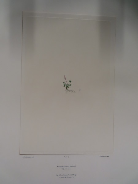 image FDA-E.2916_32_21-2016