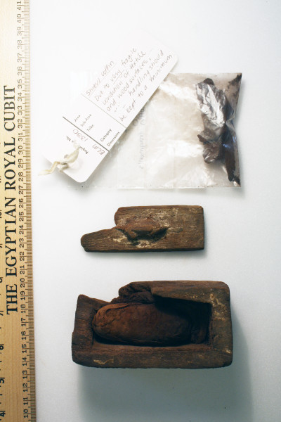 ECM.1330-2010-A image ECM.1330-2010-A