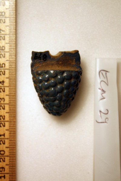 ECM.29-2010-C image ECM.29-2010-C