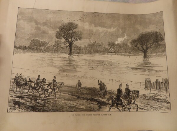 FDA-E.3235-2023 image FDA-E.3235-2023