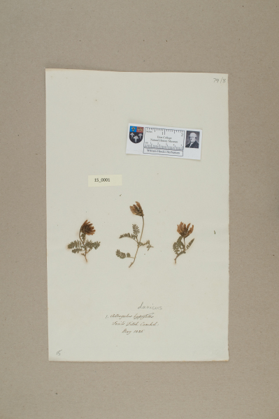 NHM_HH_15.1-2010 image NHM_HH_15.1-2010