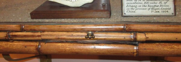 FDA-A.2172-2020-A image FDA-A.2172-2020-A