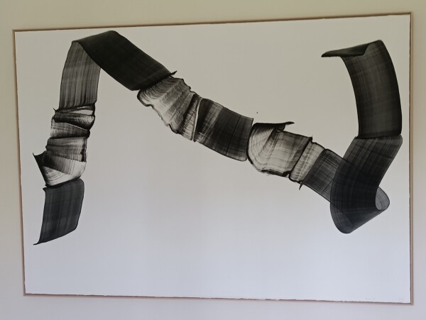 FDA-D.1772-2024 image FDA-D.1772-2024