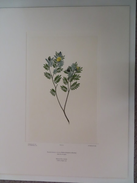 image FDA-E.2916_3_9-2016