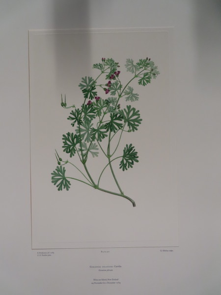 image FDA-E.2916_20_24-2016-A