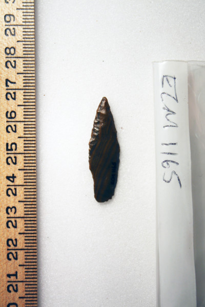 ECM.1165-2010-B image ECM.1165-2010-B