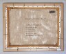 image FDA-P.608-2025-I