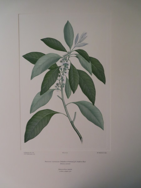 image FDA-E.2916_6_13-2016