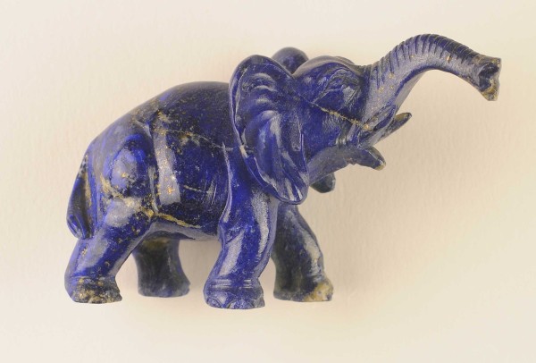 NHM-EE.94-2015 image NHM-EE.94-2015