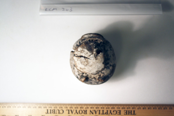 ECM.203-2010-F image ECM.203-2010-F