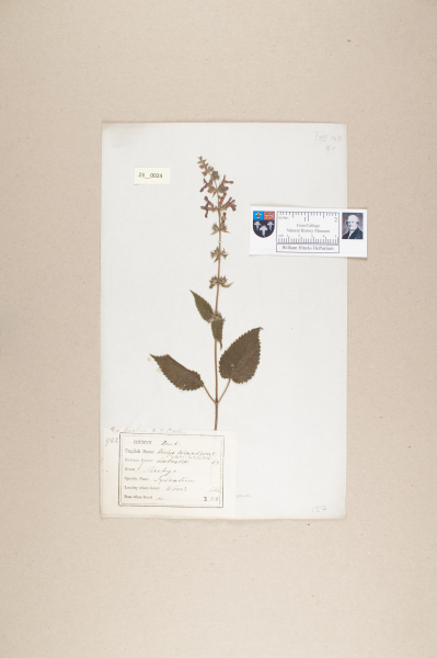 NHM_HH_23.24-2010 image NHM_HH_23.24-2010