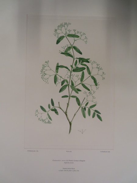 FDA-E.2916_30_24-2016 image FDA-E.2916_30_24-2016