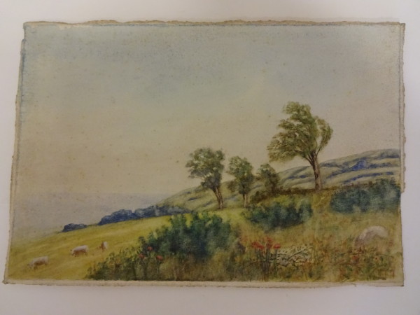 FDA-D.1244-2015 image FDA-D.1244-2015