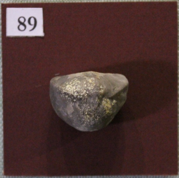 NHM.550-2017 image NHM.550-2017