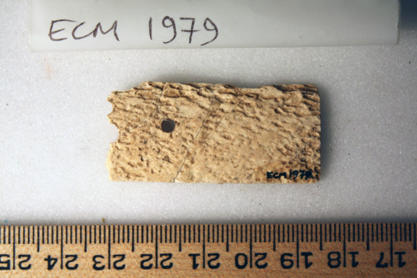 ECM.1979-2010-B image ECM.1979-2010-B