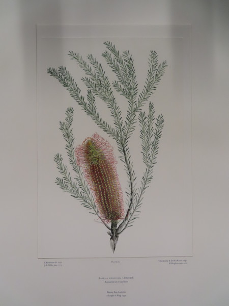 image FDA-E.2916_35_6-2016-A