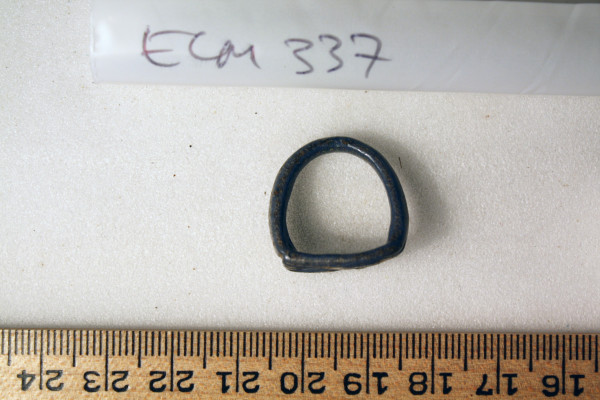 image ECM.337-2010-B