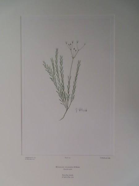 image FDA-E.2916_10_14-2016