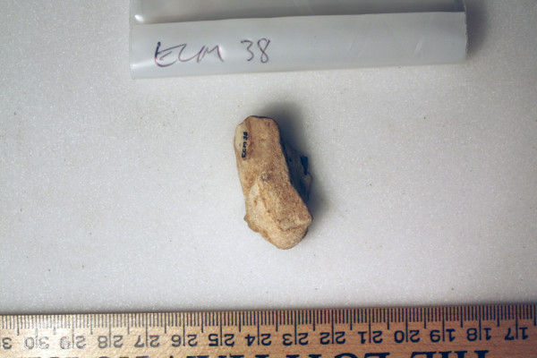 ECM.38-2010-B image ECM.38-2010-B