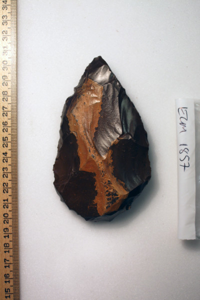 ECM.1857-2010-A image ECM.1857-2010-A