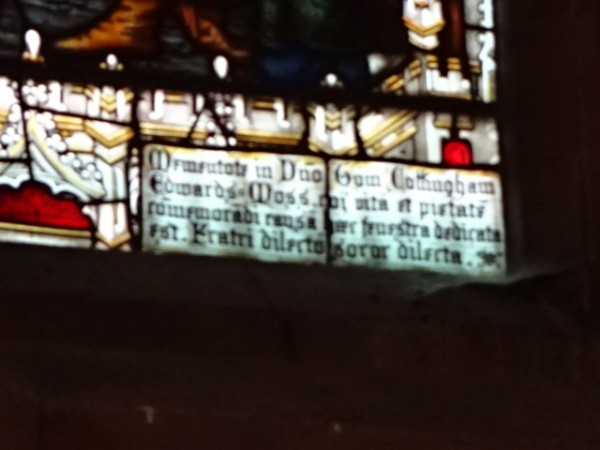 FDA-A.388_2_1b-2013-B image FDA-A.388_2_1b-2013-B