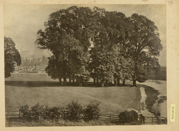 PA-A.124_52-2013 image PA-A.124_52-2013