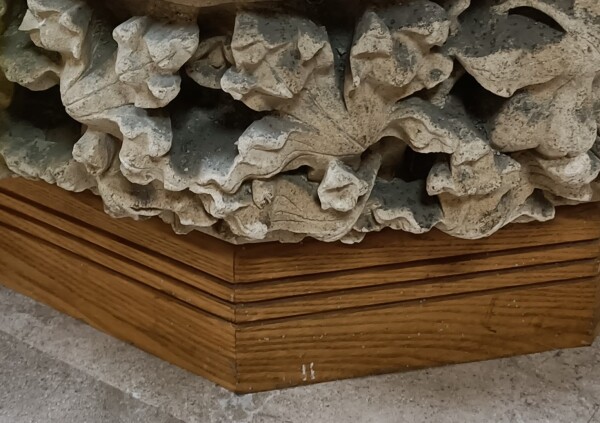 FDA-A.2450_1-2023-B image FDA-A.2450_1-2023-B