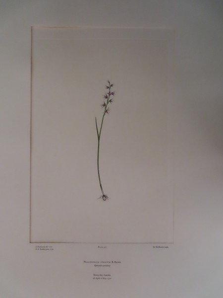 FDA-E.2916_15_5-2016 image FDA-E.2916_15_5-2016