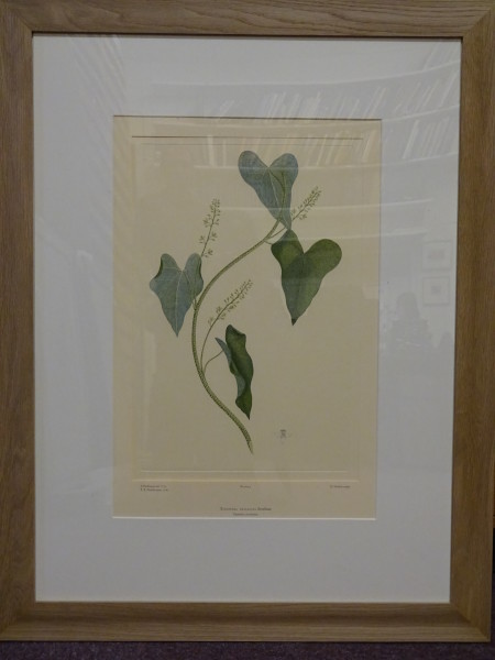 FDA-E.2916_1_7-2016 image FDA-E.2916_1_7-2016