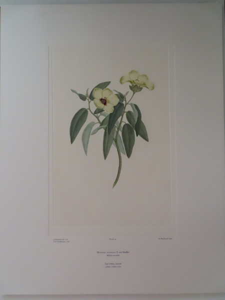 image FDA-E.2916_2_5-2016-A