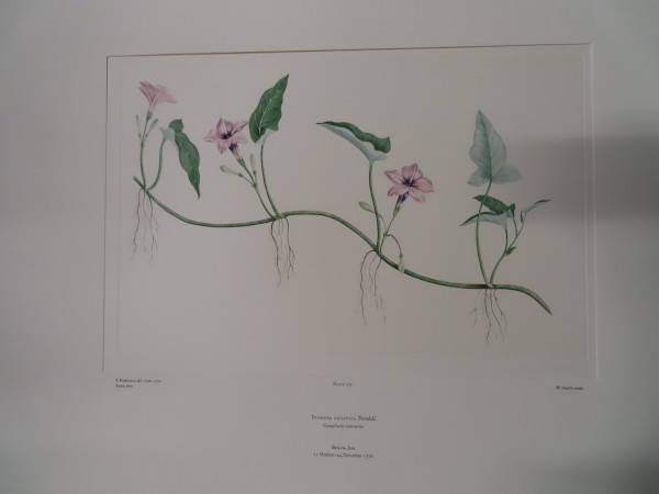 image FDA-E.2916_17_18-2016-A