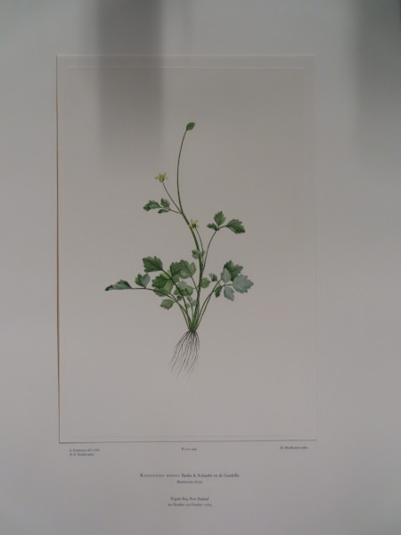 FDA-E.2916_20_6-2016 image FDA-E.2916_20_6-2016