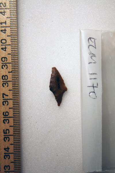 ECM.1170-2010-B image ECM.1170-2010-B