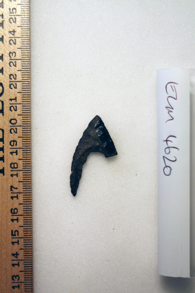 ECM.4620-2017-B image ECM.4620-2017-B