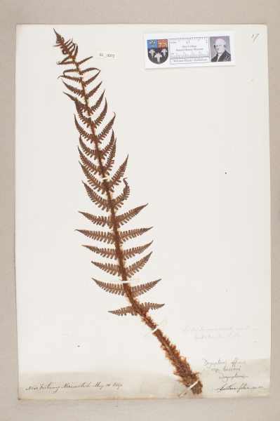 NHM_HH_5.72-2010 image NHM_HH_5.72-2010