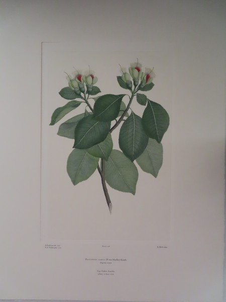 image FDA-E.2916_6_19-2016