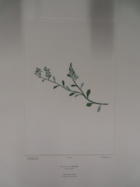 image FDA-E.2916_24_8-2016