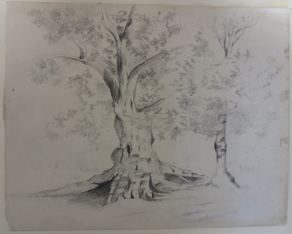 image FDA-D.1382-2015